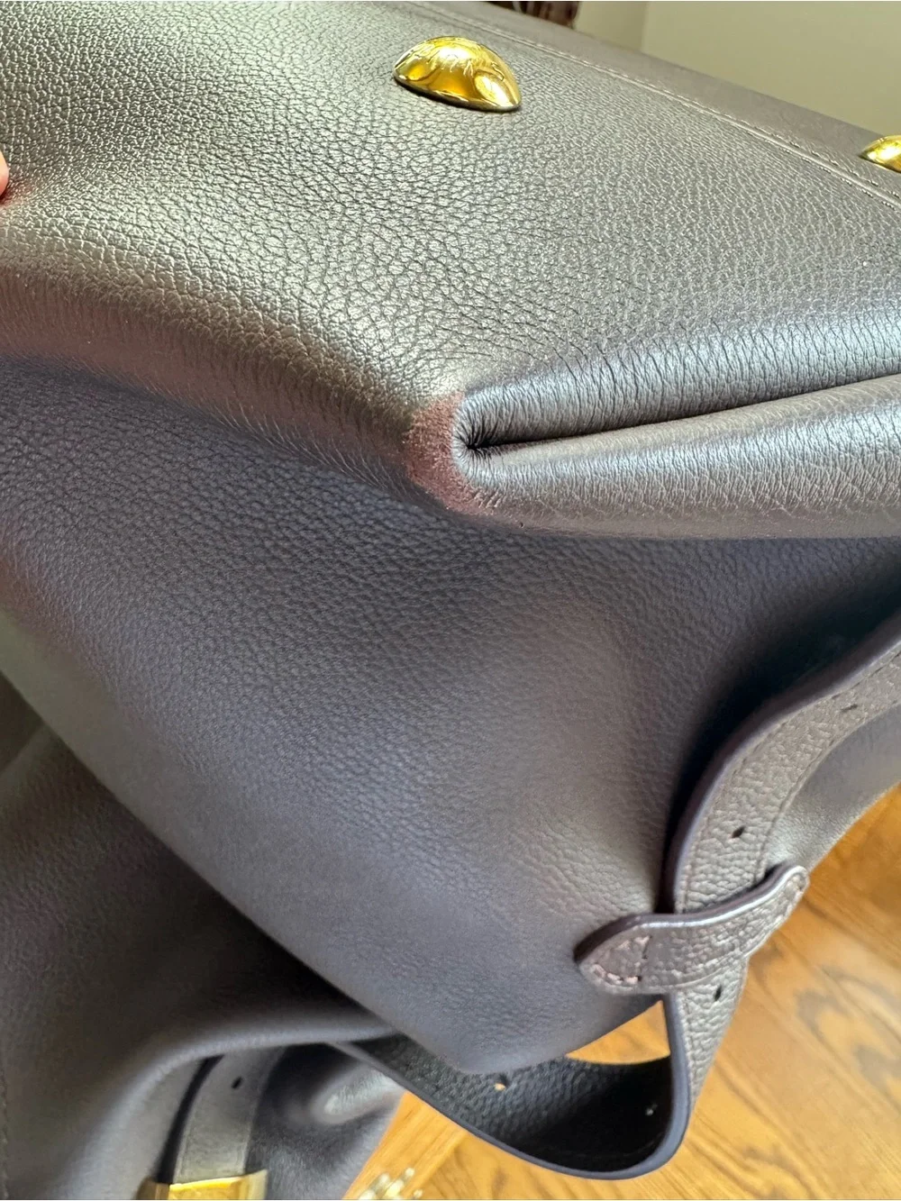 Louis Vuitton elegant louis